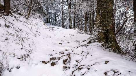Ljudje v šoku gledali nenavaden prizor: "Kača na snegu? To lahko pomeni le eno!"