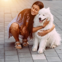 Zakaj ne bi smeli objemati psov - veterinarji so glede tega jasni