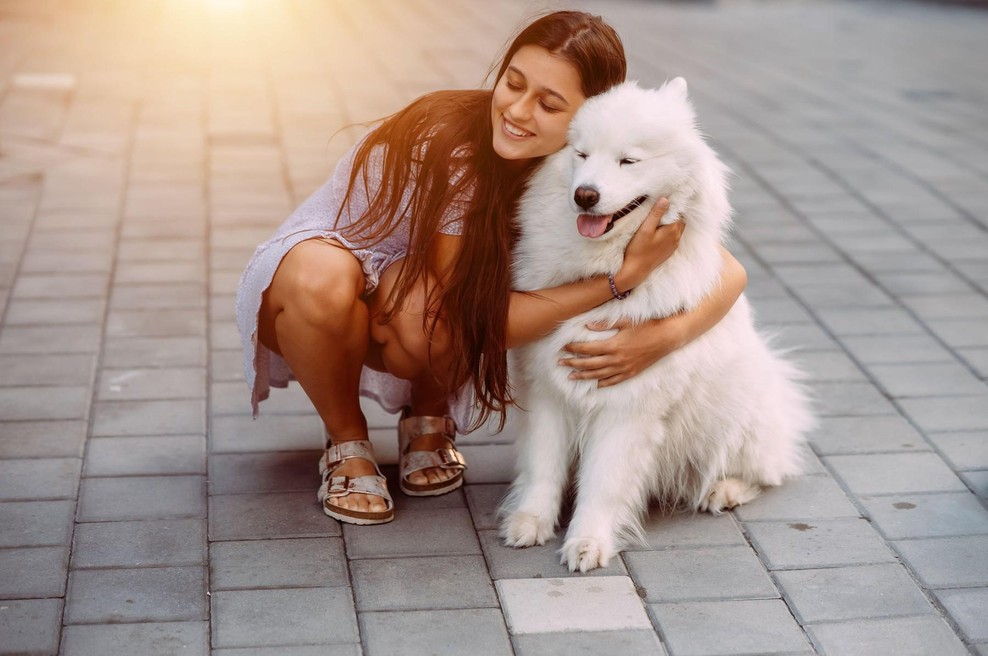 Zakaj ne bi smeli objemati psov - veterinarji so glede tega jasni (foto: profimedia)
