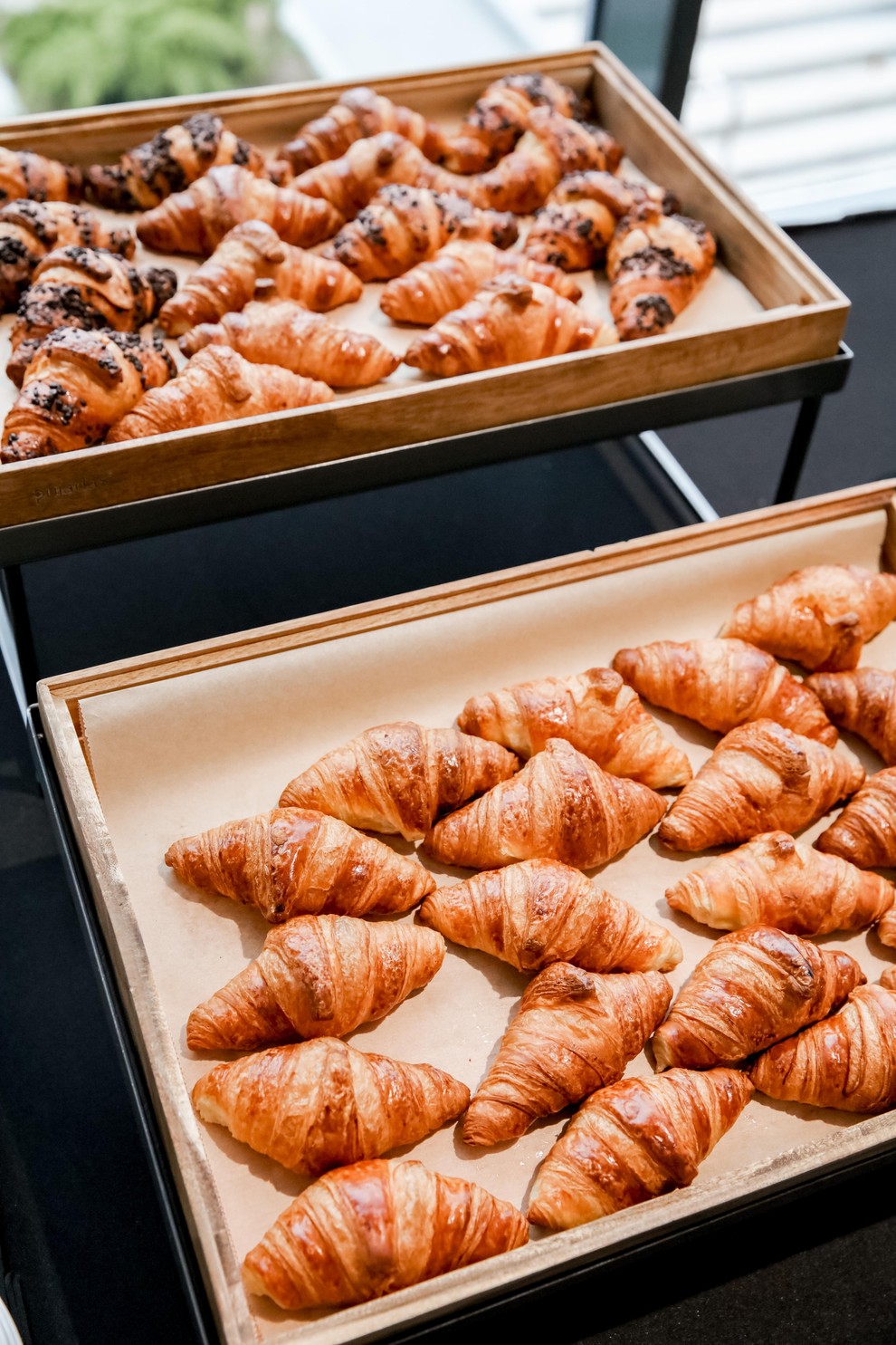 Odiseja nas je pogostila z okusnimi prigrizki, s katerimi so poskrbeli, da smo imeli dovolj energije za dan, ki je …