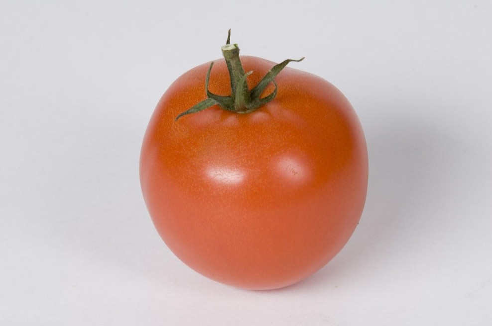 So paradižnikovi peclji zares strupeni in povzročajo raka? (foto: Profimedia)