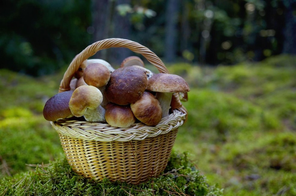Ali lahko gobe pogrejete naslednji dan? (foto: Profimedia)