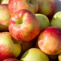 So jabolčna semena res strupena?