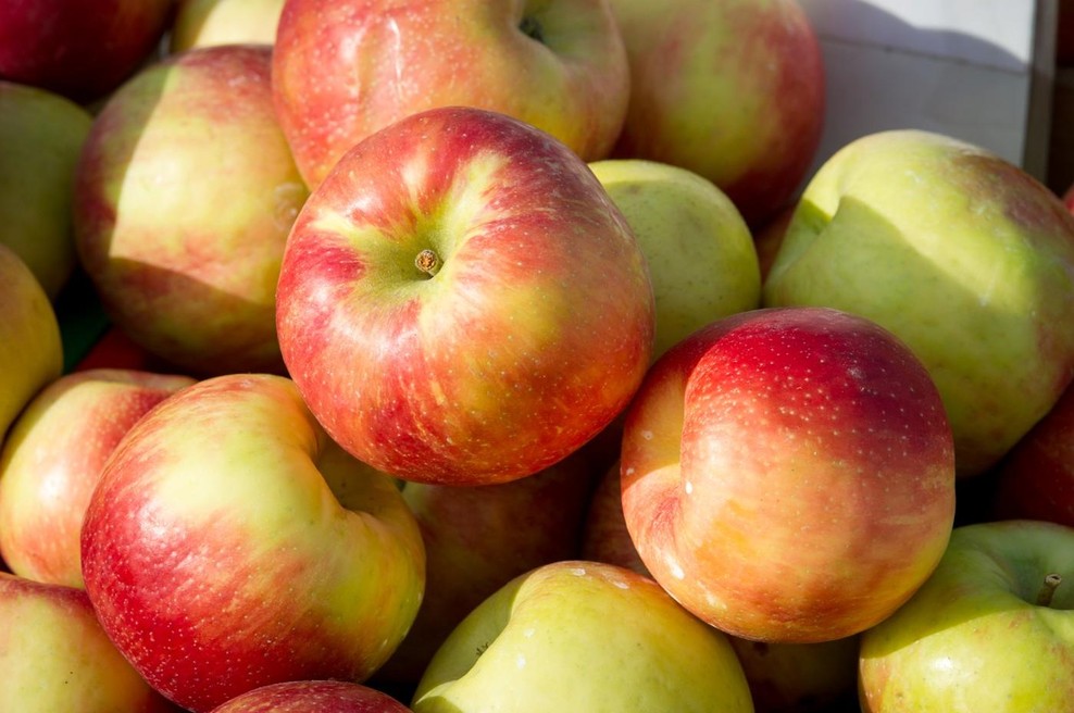 So jabolčna semena res strupena? (foto: Profimedia)