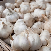 Te 4 skupine ljudi ne bi smele jesti belega česna