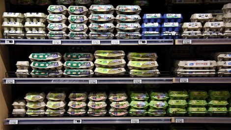 Škatle od jajc je najbolje zavreči.