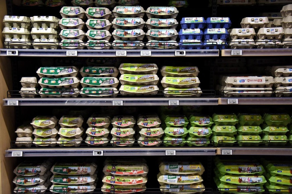 Zakaj škatel za jajca nikoli ne bi smeli ponovno uporabljati (foto: Profimedia)