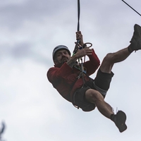 Velikanski sršeni ubili očeta in sina, napadli so ju med vožnjo po ziplinu: "Telesi sta bili zmaličeni od pikov"