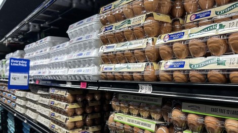 Jih je sploh potrebno imeti v hladilniku?