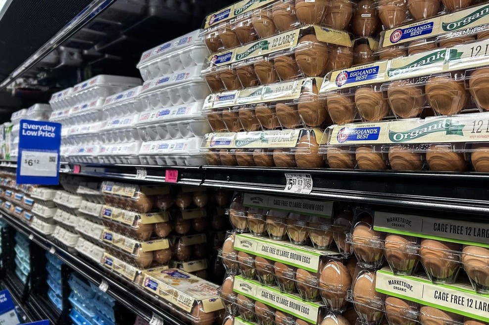 V trgovini so jajca na sobni temperaturi, doma pa jih damo v hladilnik – ali jih res moramo hladiti? (foto: Profimedia)