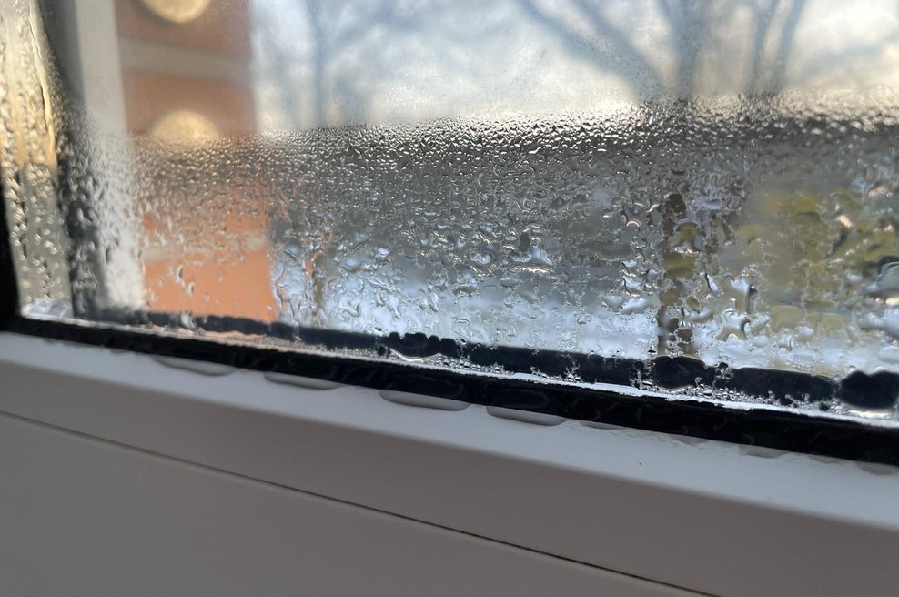 Kondenz na oknih pozimi: Takole se ga znebite in tega nikoli ne delajte (foto: Profimedia)