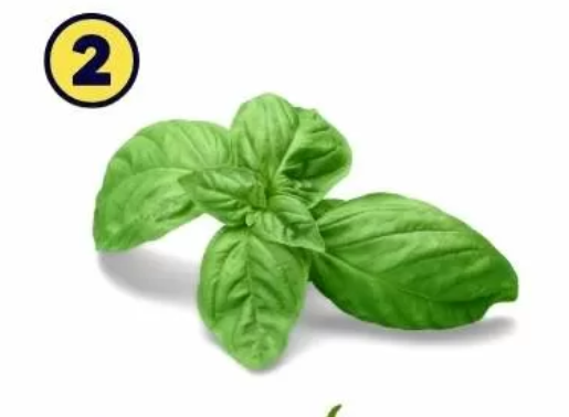 2 Če ste izbrali drugi list, ste edinstvena oseba. Ste optimistični in zelo pozitivni. Vedno gledate na svetlo plat stvari …