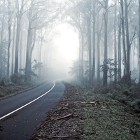 V gozdu je našla škatlo z več kot 350.000 evri, a tega, kar je sledilo, zagotovo ni pričakovala - razplet je bil neverjeten