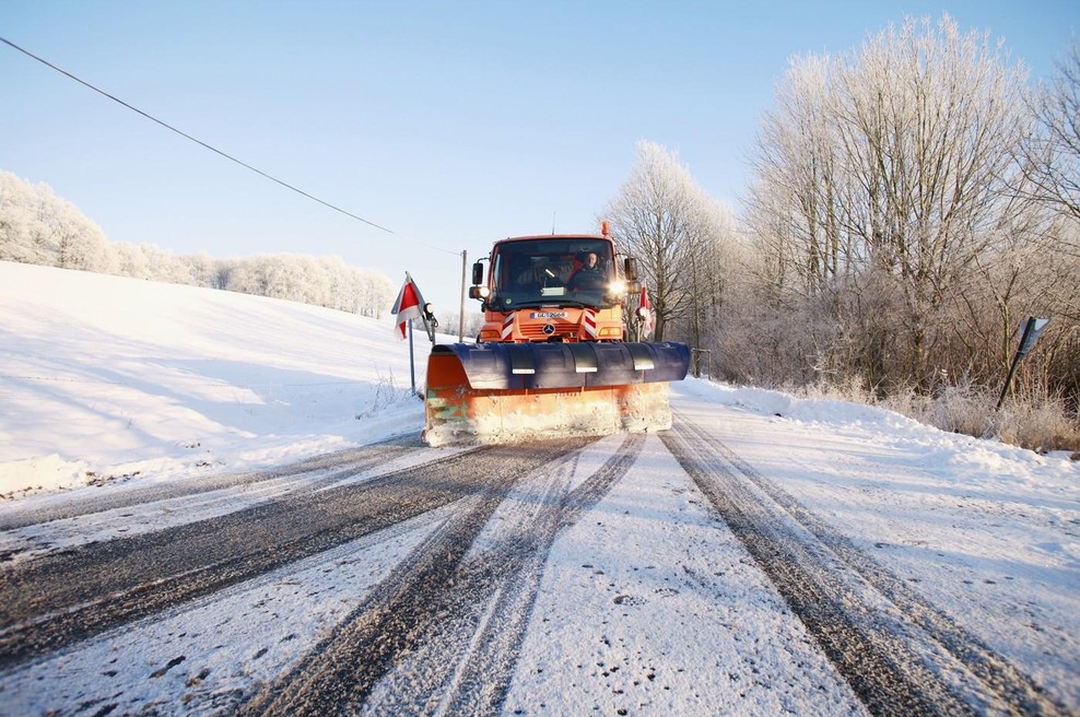 Kako so na Švedskem spremenili posipanje zimskih cest in rešili na tisoče ptic (foto: profimedia)