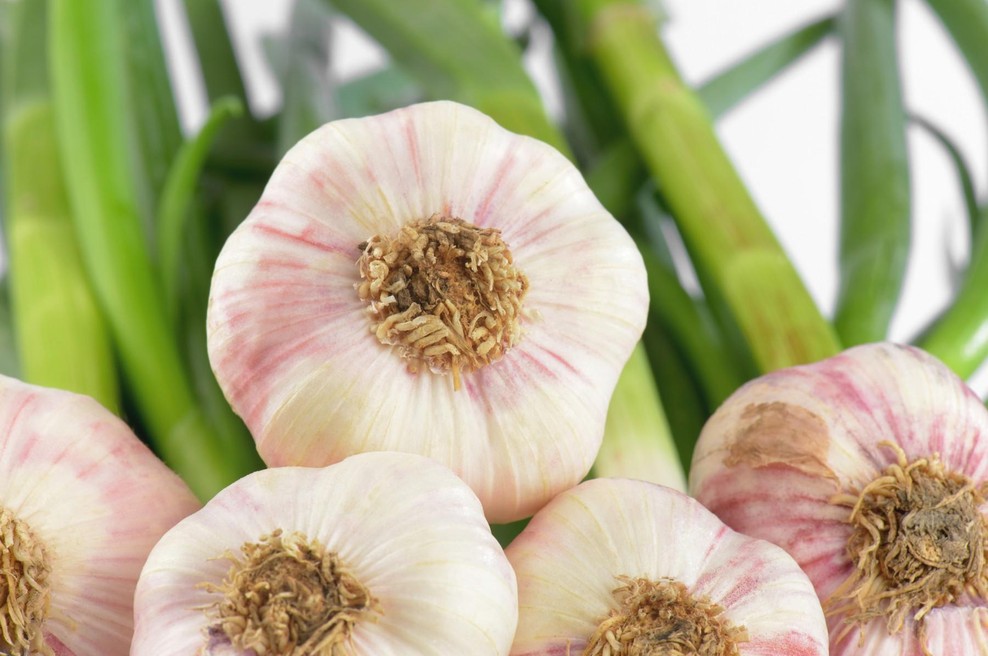 ODKRITJE: ustna vodica z izvlečkom česna je presenetljivo učinkovita, a problem ostaja (foto: profimedia)