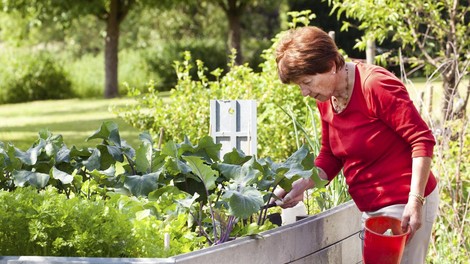 Tašča meni, da njen sin dela preveč.