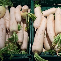 Kako prepoznati kakovosten hren?