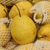 Nashi hruške: zakaj jih kupiti in zakaj so pakirane v zaščitno penasto mrežico
