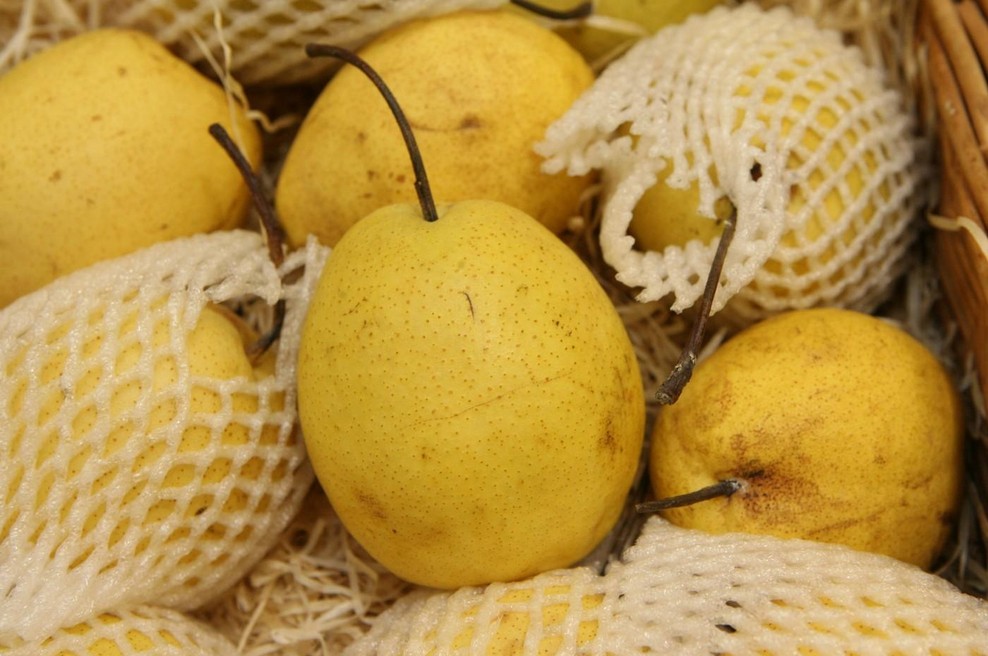 Nashi hruške: zakaj jih kupiti in zakaj so pakirane v zaščitno penasto mrežico (foto: Profimedia)