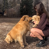 Zlati prinašalec prvič spozna svoje mladičke. Vsi, ki so videli video, so se zjokali