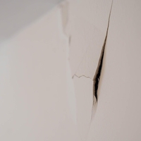 V hiši se je neprestano slišalo praskanje, ko so odprli zid, so v šoku onemeli