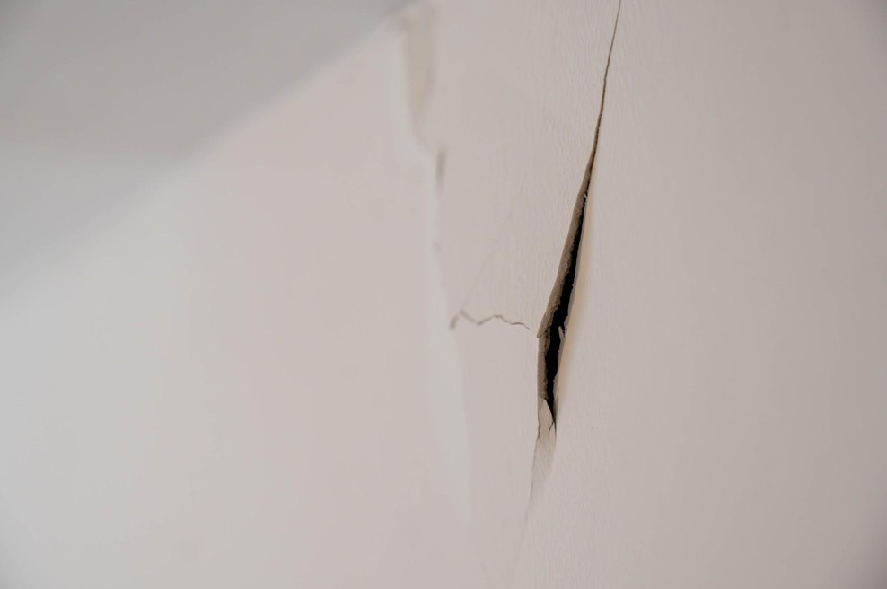 V hiši se je neprestano slišalo praskanje, ko so odprli zid, so v šoku onemeli (foto: profimedia)