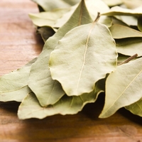 Zato so babice v sončnično olje vedno dajale lovorjev list