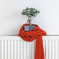 Zakaj rastline umirajo, ko vključimo ogrevanje? Težava ni v toploti