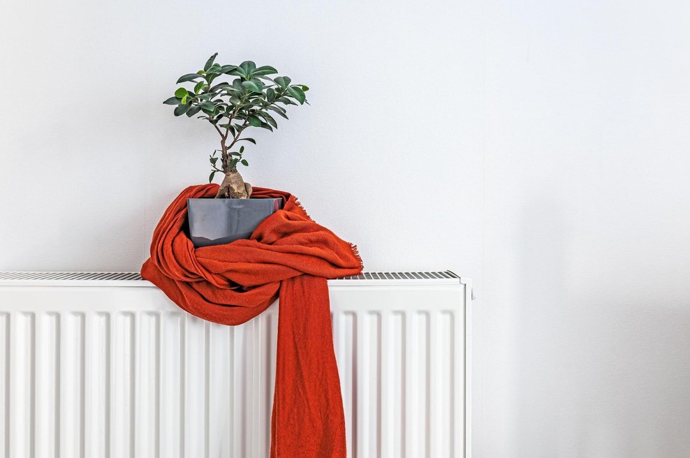 Zakaj rastline umirajo, ko vključimo ogrevanje? Težava ni v toploti (foto: profimedia)