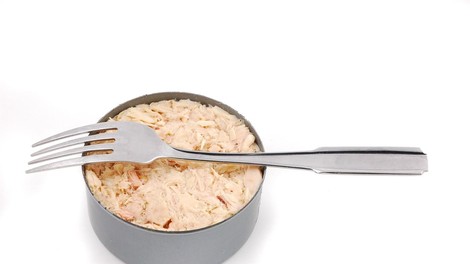 Tuna v konzervi