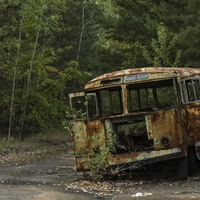 Novice iz černobilske cone: Narava se celi, živali pa so zaradi sevanja drugačne