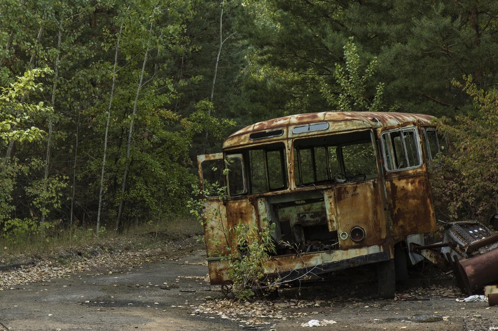 Novice iz černobilske cone: Narava se celi, živali pa so zaradi sevanja drugačne (foto: profimedia)