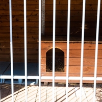 Žena zaprla in mesece mučila moža: pobegnil je bos iz pasje kletke, sosed ga je komaj prepoznal