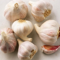 Ta način uživanja česna so uporabljali v vsaki hiši v Jugoslaviji