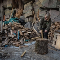 Vlada sprejema novo uredbo, vsi, ki se ogrevajo na drva, bodo slabe volje