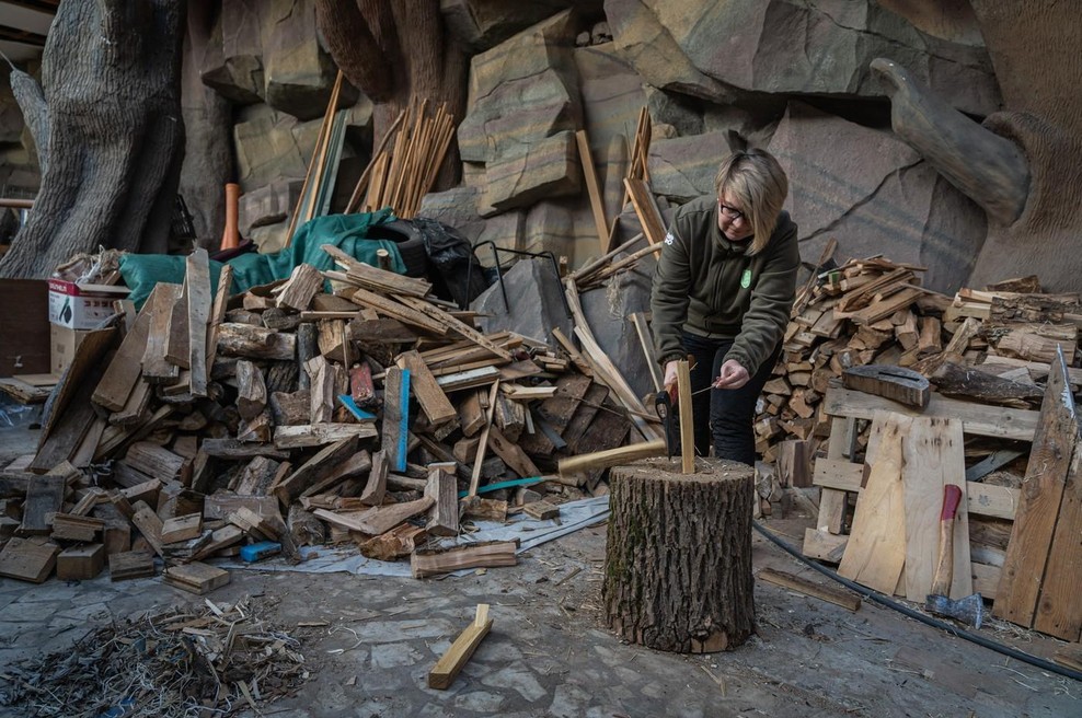 Vlada sprejema novo uredbo, vsi, ki se ogrevajo na drva, bodo slabe volje (foto: Profimedia)
