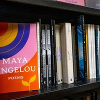 Najlepše misli o hvaležnosti svetovno znanih osebnosti: "Hvaležnost je spomin srca."