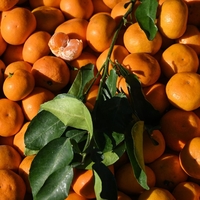 Sezona mandarin: 4 nasveti, da boste vedno kupili najboljše mandarine