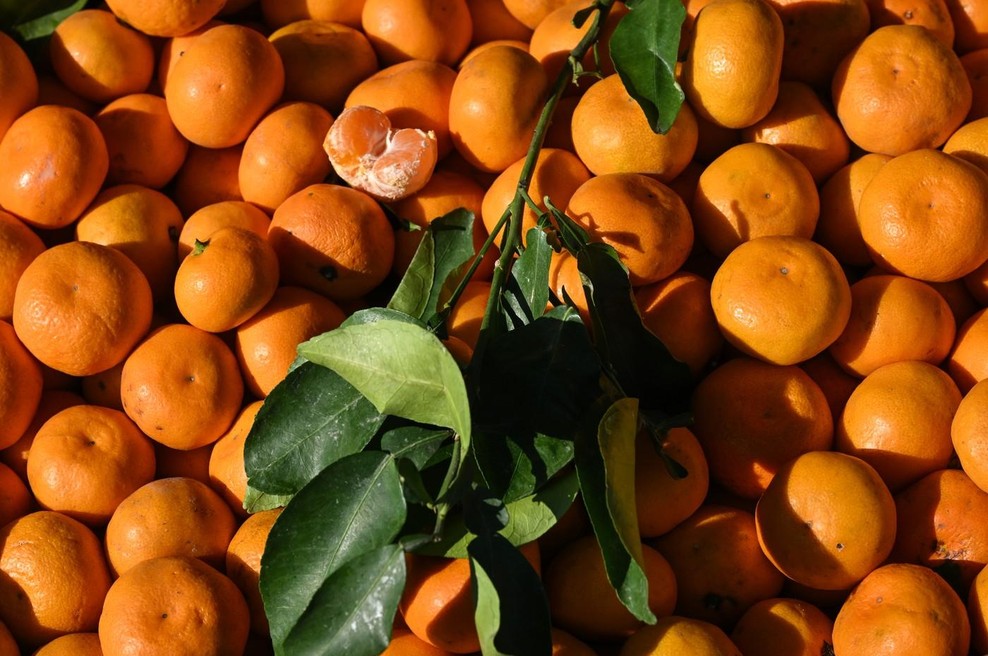 Sezona mandarin: 4 nasveti, da boste vedno kupili najboljše mandarine (foto: Profimedia)