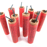 V centru mesta prepovedane paterde in ognjemeti