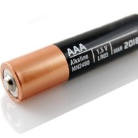 Že kmalu težava pri nakupu baterij: Takšne so prve napovedi