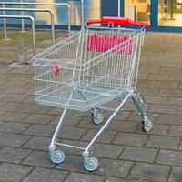 Več kot 100 ljudi je od 4. ure zjutraj čakalo pred diskontom, do 7. ure pa je bilo vse razprodano