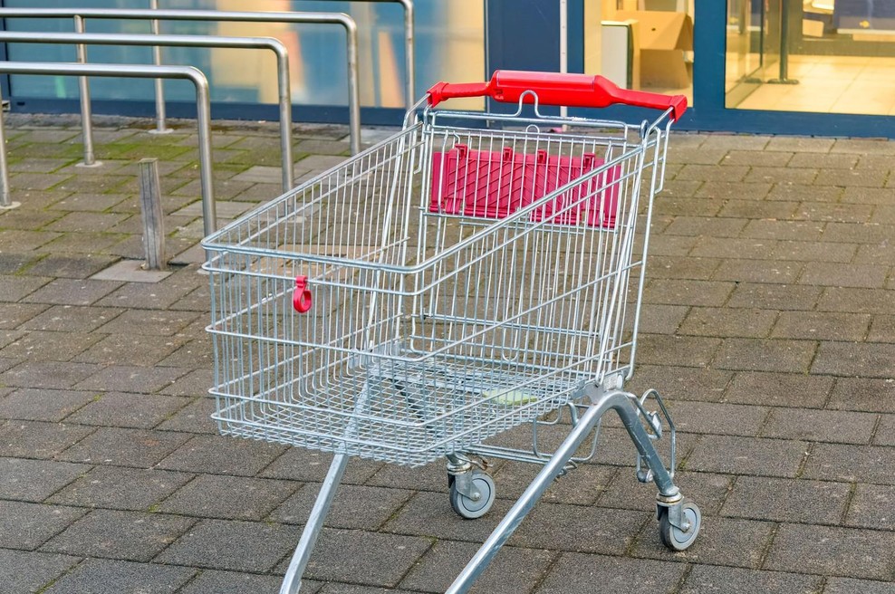 Več kot 100 ljudi je od 4. ure zjutraj čakalo pred diskontom, do 7. ure pa je bilo vse razprodano (foto: Profimedia)
