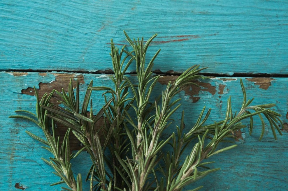 Ta rastlina, ki jo imajo mnogi v kuhinji, izboljšuje spomin in ščiti pred Alzheimerjevo boleznijo (foto: Profimedia)