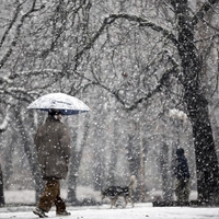 Najbolj varna hoja ob poledici je, da hodite kot pingvini