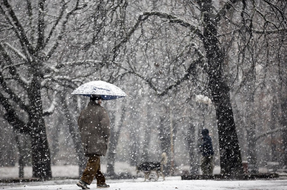 Najbolj varna hoja ob poledici je, da hodite kot pingvini (foto: profimedia)