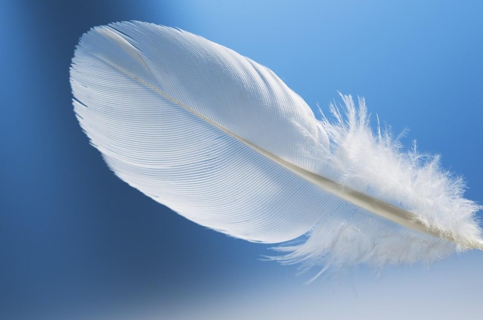 Kaj pomeni, če ves čas videvate peresa? (foto: Profimedia)