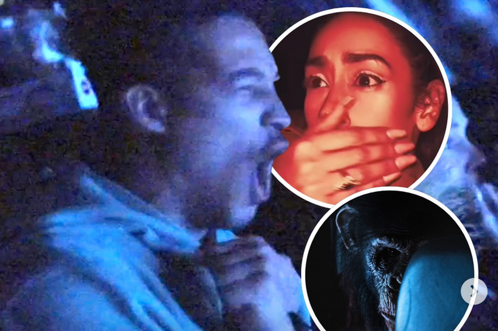 Gledalci so kričali in skakali s stolov: Je to najbrutalnejša grozljivka vseh časov? (foto: Zaslonska slika/Insta/Pubity)