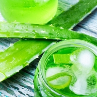 Aloe vera, ne le za obraz, odlična tudi za lase