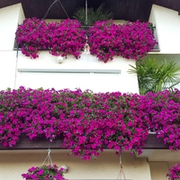 Že kmalu bo EU prepovedala predmet, ki ga ima skoraj vsak doma